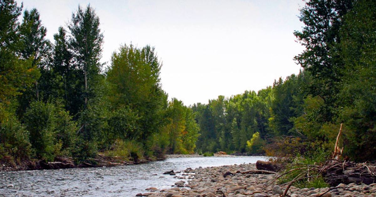 Little Salmon River Fishing Report New Meadows, Idaho Yobi Adventures