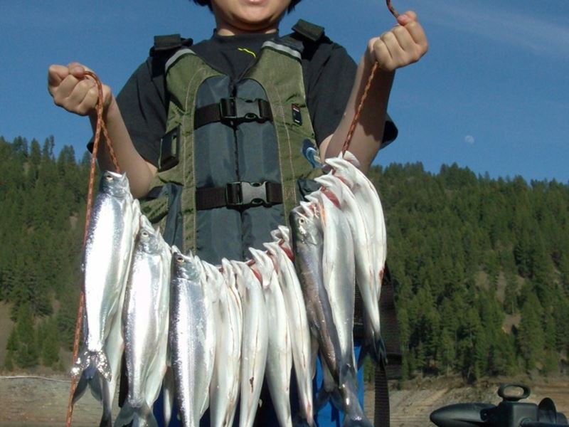 Dworshak Reservoir Charter For Kokanee And Trout With Jarrett's Guide ...