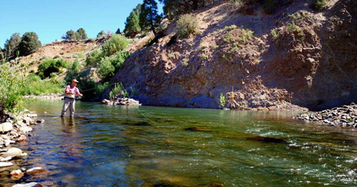 East Carson River Fishing Report - Carson City, Nevada