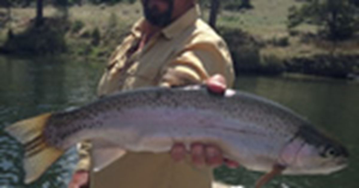 Dan Troupe - Helena, Montana