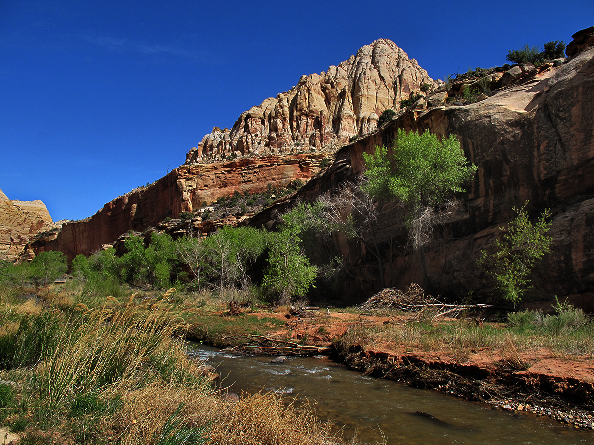Fremont River Fishing Report Bicknell, Utah