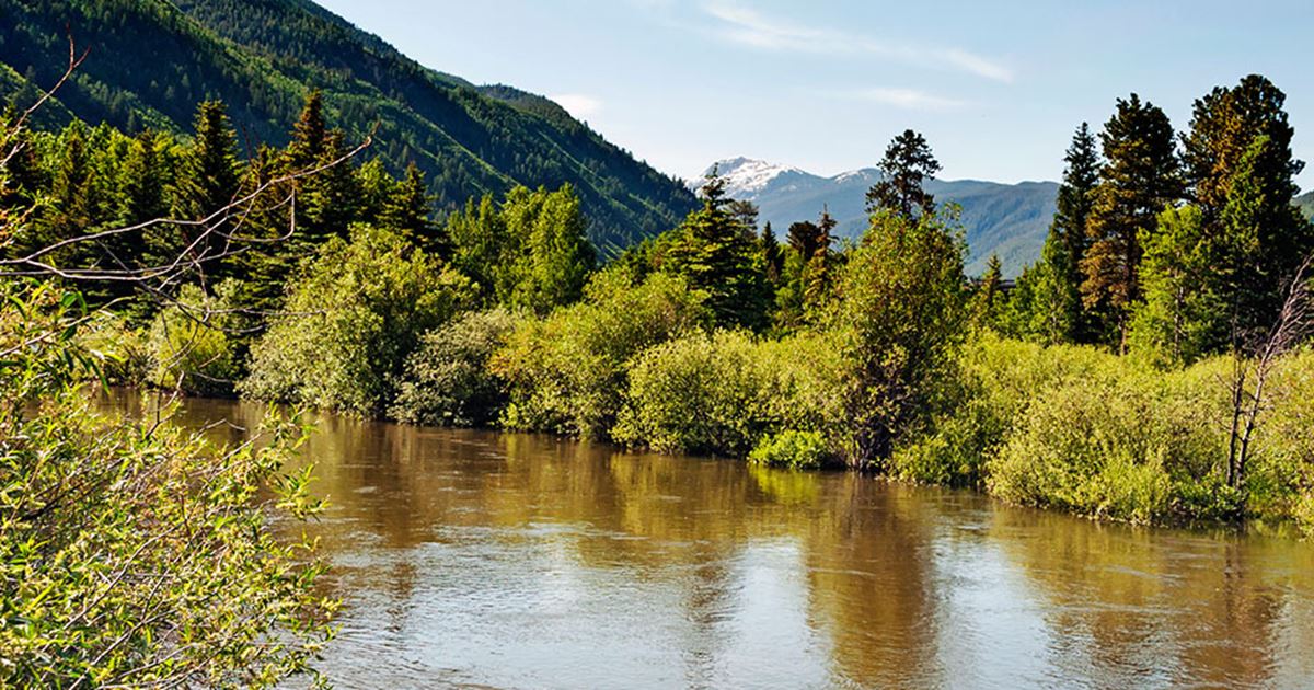 White River Fishing Report Flippin, Arkansas