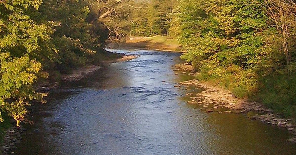 East Branch Delaware River Fishing Report - East Branch, New York